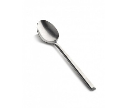 CUILLERE PURE | 18.2cm x 3.7cm | MIRROR STONE WASH