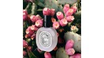 BRUME POUR LES CHEVEUX - 30 ML - ILIO - ÉDITION LIMITÉE ÉTÉ 2025