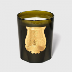 Bougie parfumée  ERNESTO - 2,8kg - CUIR DE TABAC TRUDON