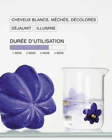 Shampoing solide violet