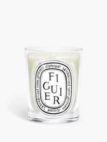 Bougie - Figuier