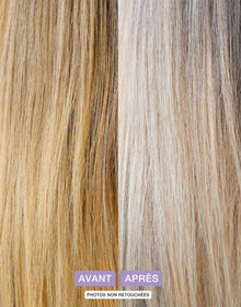 Shampoing solide violet