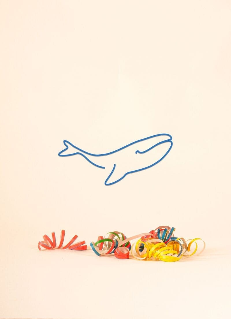 The Line - Baleine
