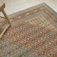 Tapis VINTAGE - 100% laine noué main - 326 x 490 cm