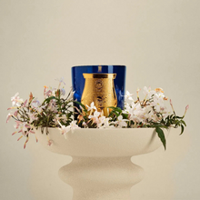 Bougie parfumée Madurai - Jasmin