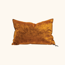 Coussin Vice Versa - Velours Royal