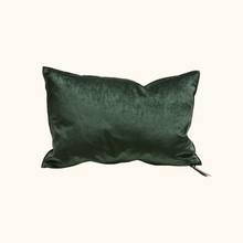 Coussin Vice Versa - Velours Royal