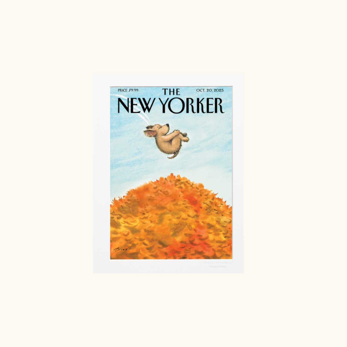 Affiche - The NewYorker 292 Bliss 20 Oct. 2020 - 38 x 56cm