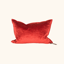 Coussin Vice Versa - Velours Royal