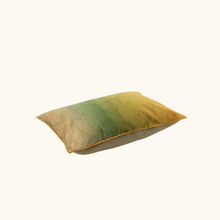Coussin Fortuné - 40cm x 55cm
