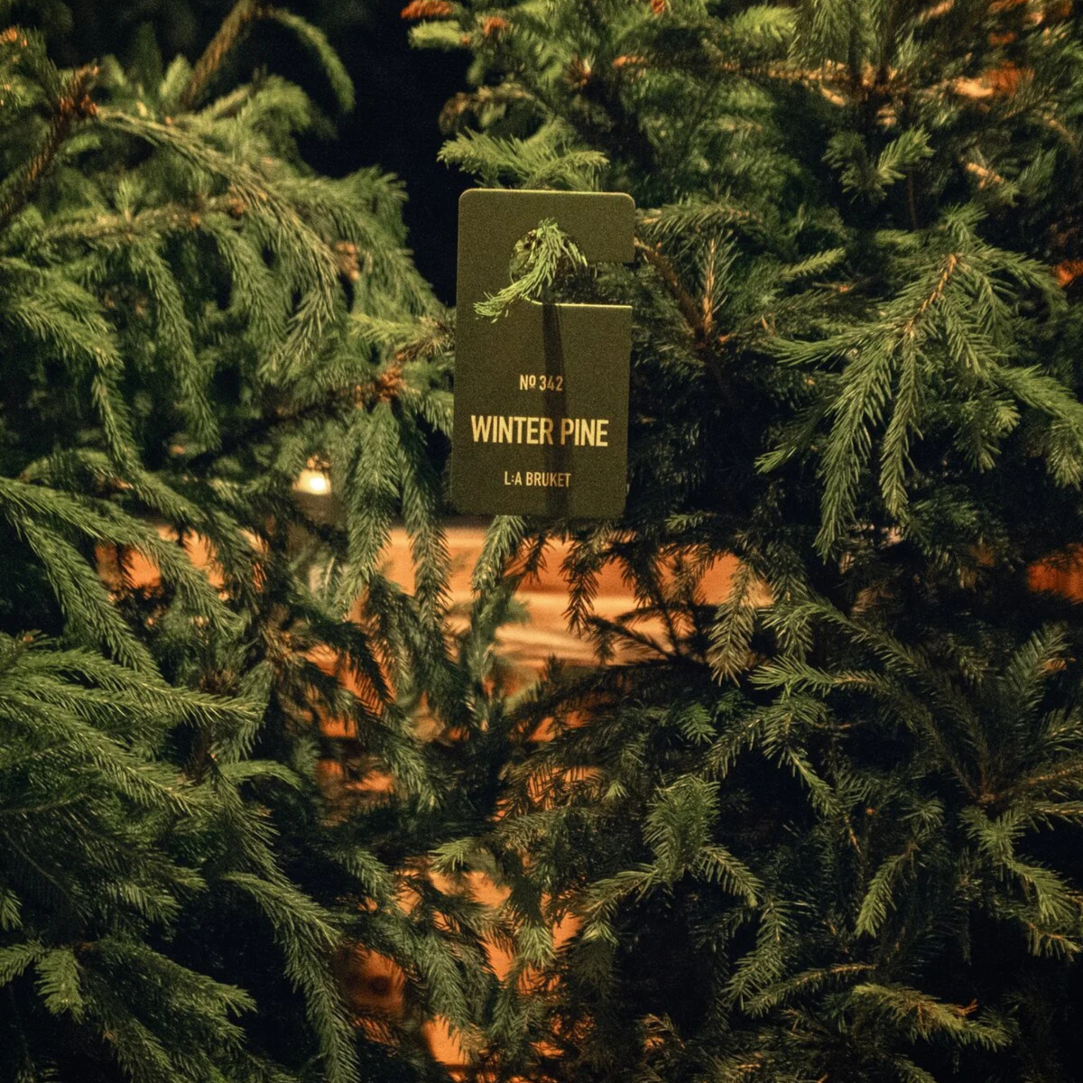 Étiquette parfumée – Winter Pine
