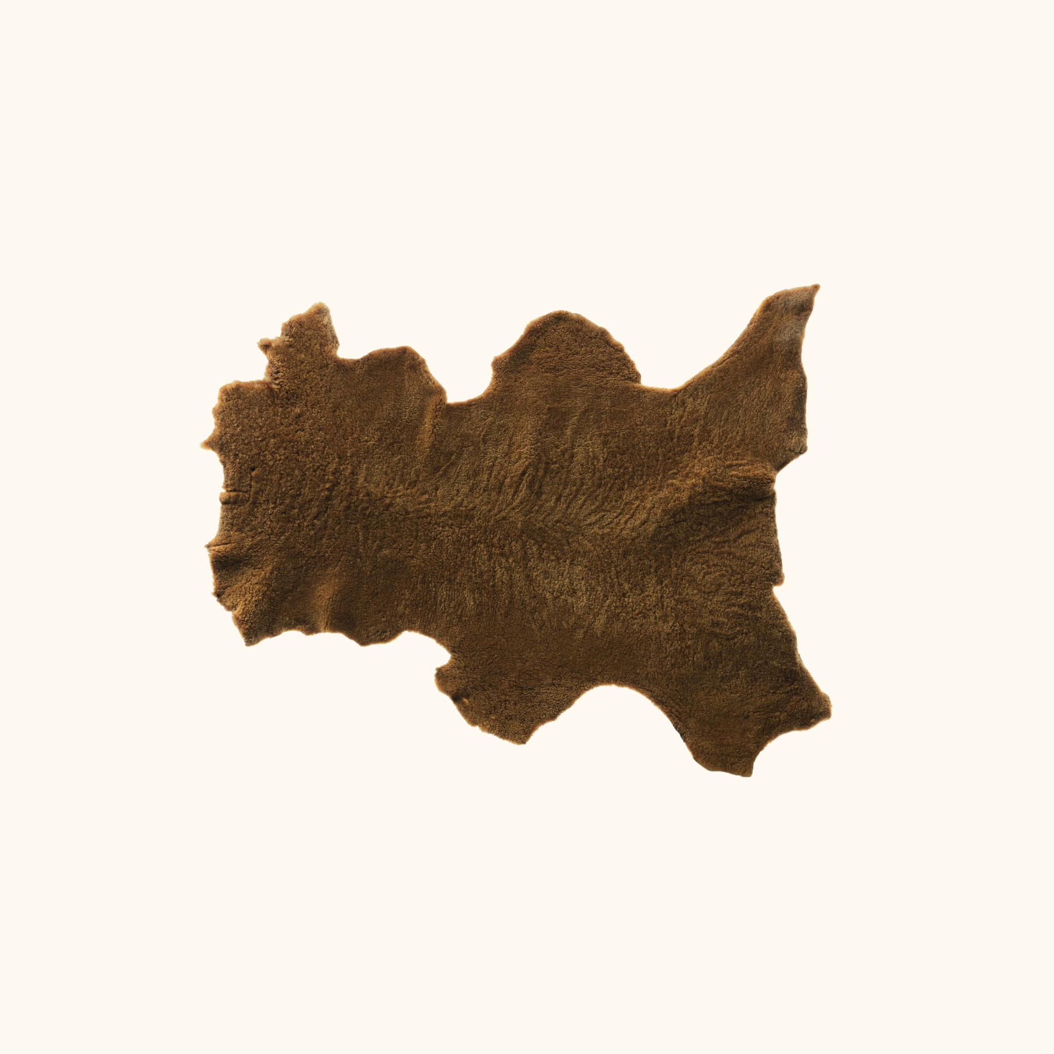 Peau de mouton bouclette - Havane