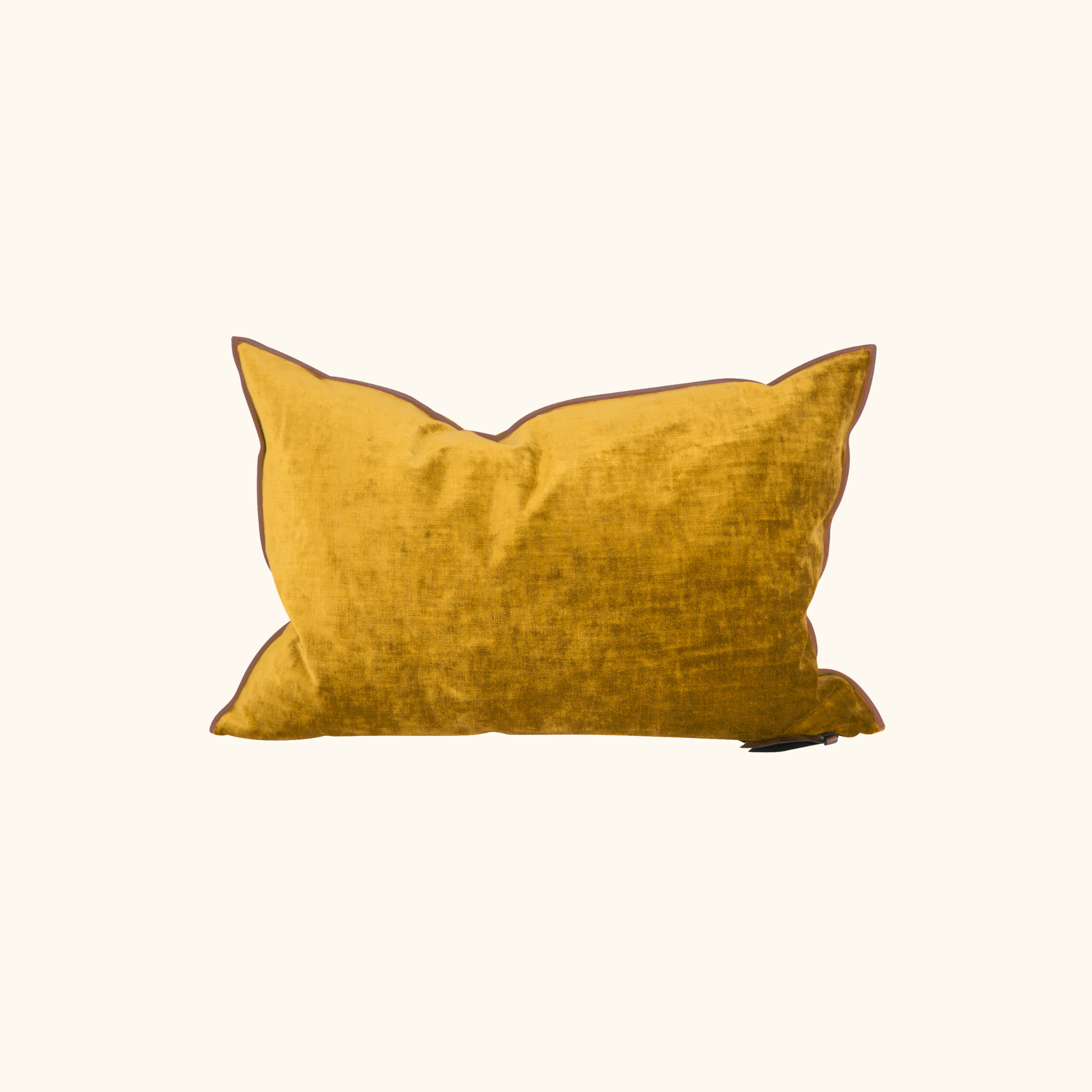 Coussin Vice Versa - Velours Royal