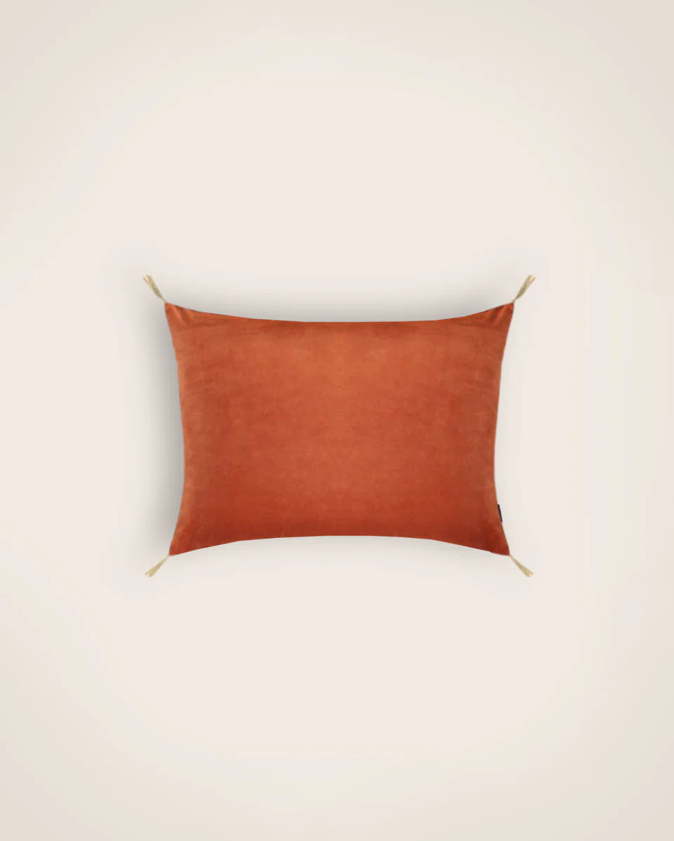 Coussin velours lavé