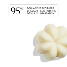 Shampoing collection - Rhubarbe fraiche