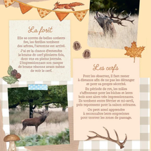 Sticker Book - Mon journal nature