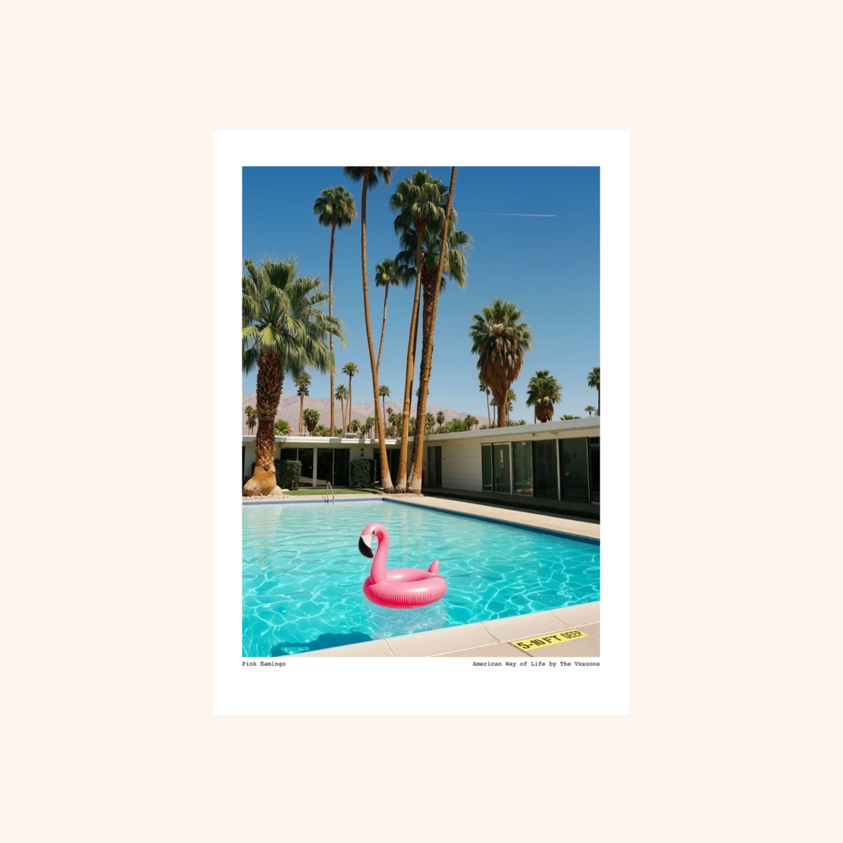 Affiche - Pink Flamingo - THE VISIONS THE VXSXONS