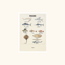 Affiche - Poissons 217 - Deyrolle