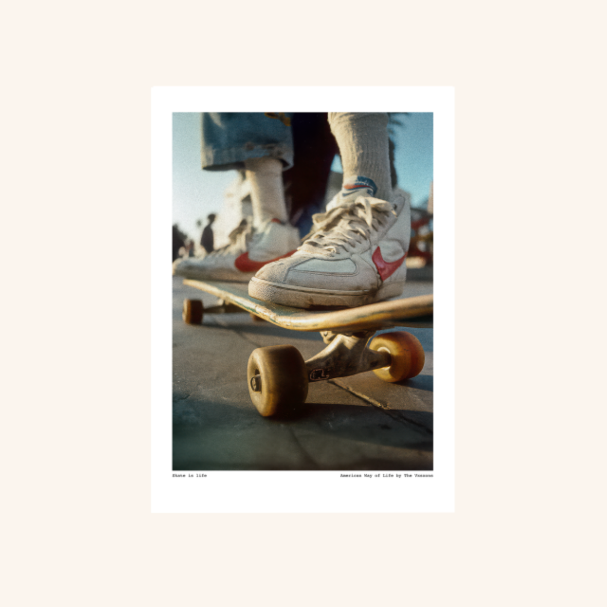 Affiche - AWOL 009 Skate is life - THE VISIONS THE VXSXONS