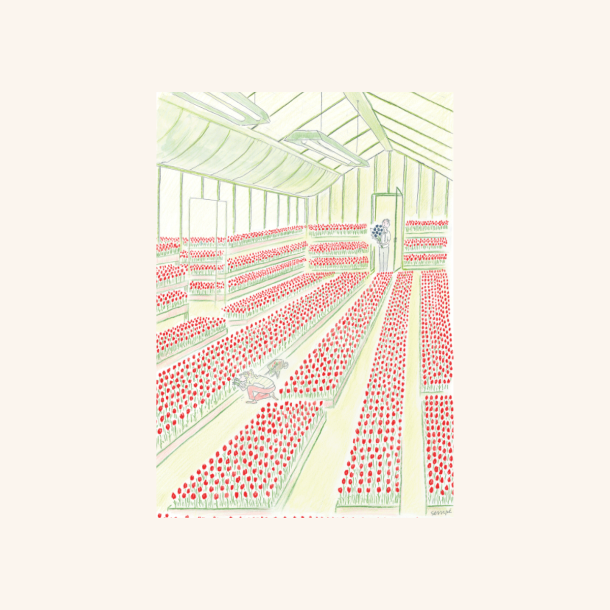 Affiche - Tulipes - Sempé