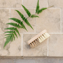 Brosse de ménage manche en bois de hêtre - Fibre naturelle
