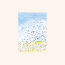 Carte postale - Oiseaux - Sempé