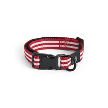 Collier pour chien