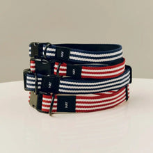 Collier pour chien