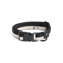 Collier pour chien