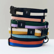 Collier pour chien