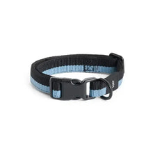 Collier pour chien