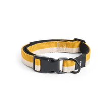 Collier pour chien