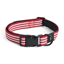 Collier pour chien