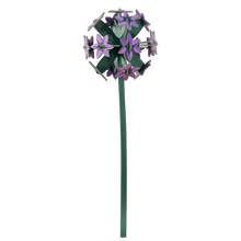 Décoration - Allium