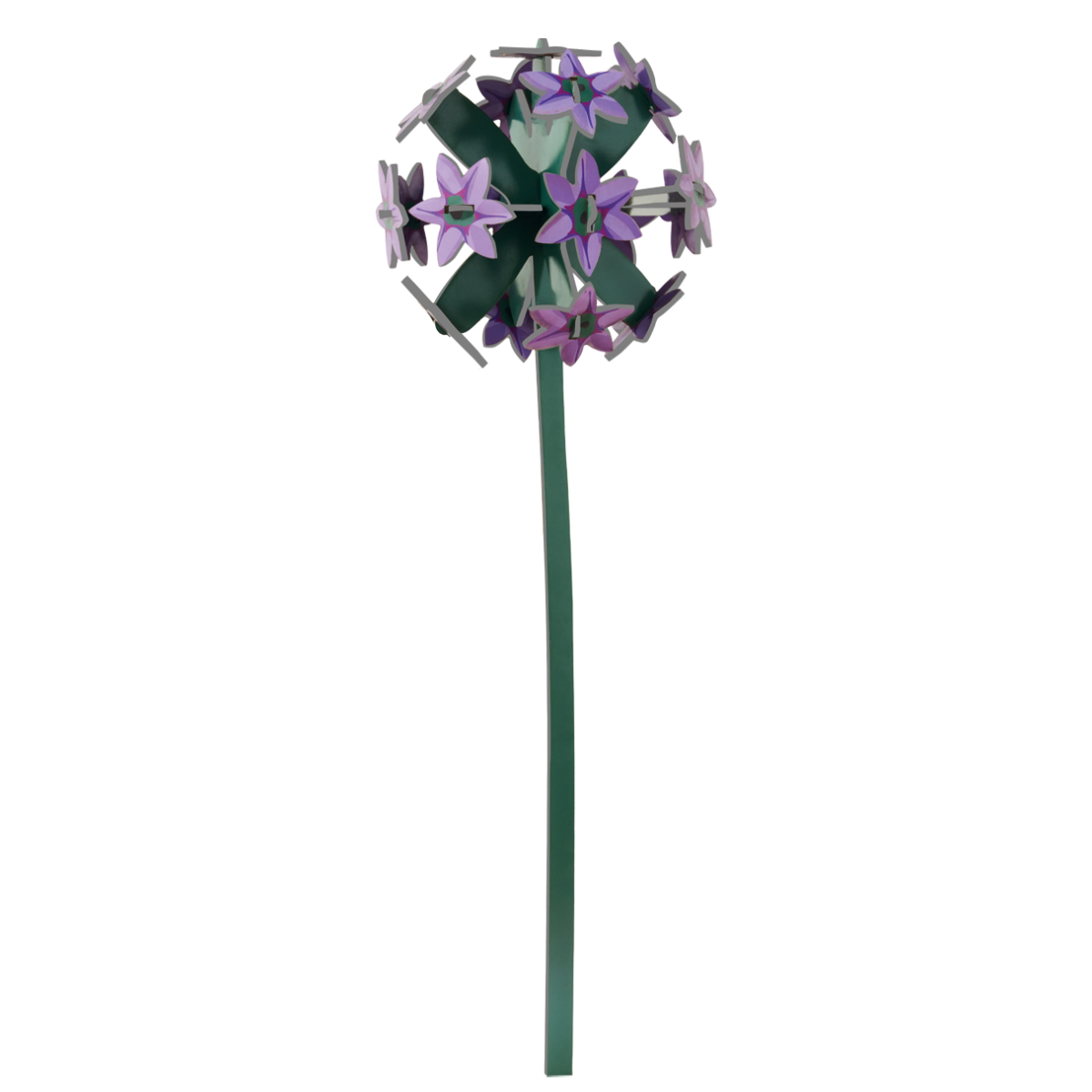 Décoration - Allium