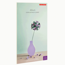 Décoration - Allium