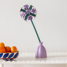 Décoration - Allium