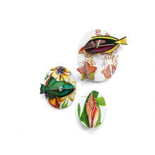 Décoration murale - Fishes Box Vol. 1