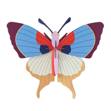 Décoration murale - Plum Fringe Butterfly