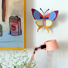 Décoration murale - Plum Fringe Butterfly