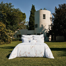 Drap housse - Gaura