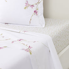 Drap plat - Gaura