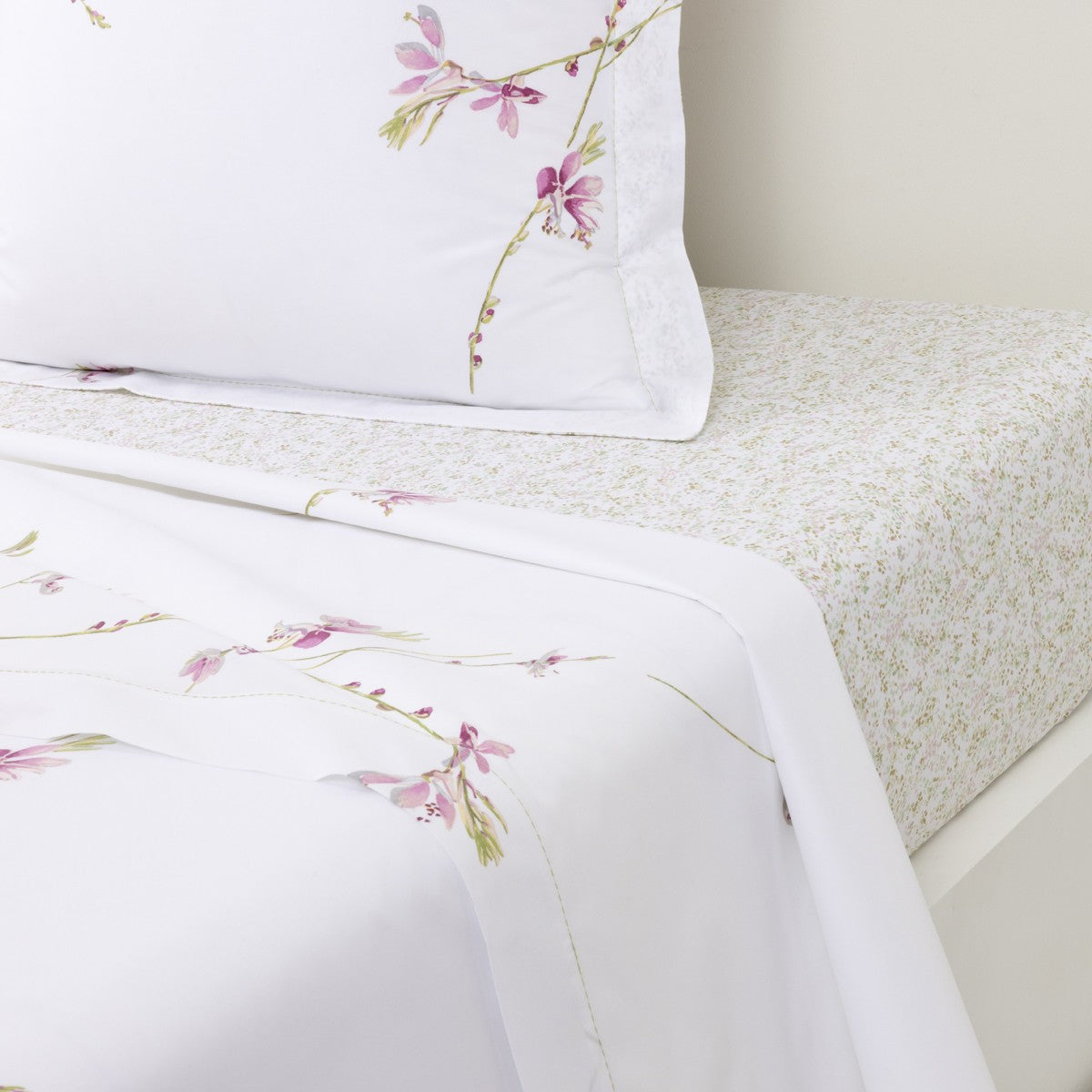 Drap plat - Gaura