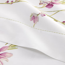 Drap plat - Gaura