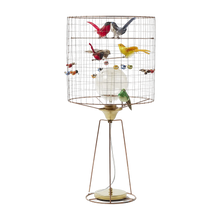 Lampe - Mathieu Challières - Volière