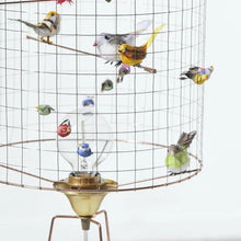Lampe - Mathieu Challières - Volière