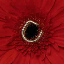 Bague - L'origine argent - T56