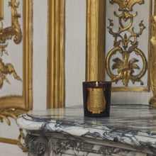 Bougie parfumée Solis Rex – 270gr