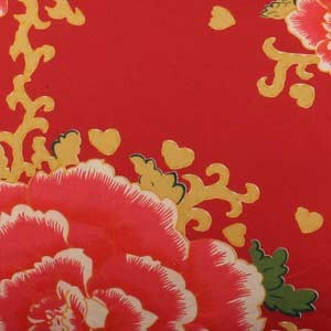 COUSSIN COTON LIAO - VERMILLON - 2 DIMENSIONS